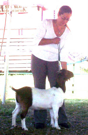 bessie1.jpg