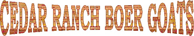 untitled2.jpg